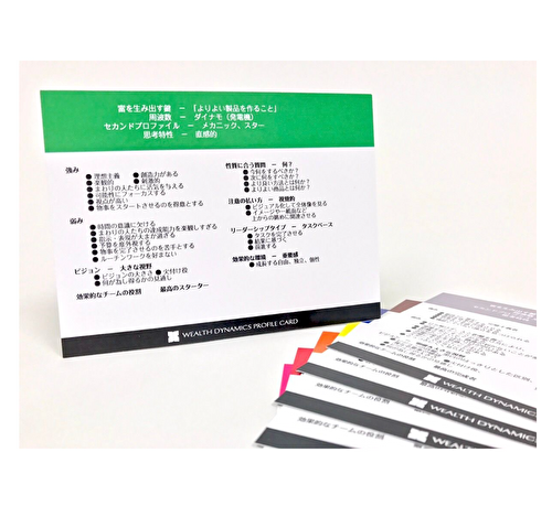 【グッズ】プロファイルカード 8種類1セット(各プロファイル1枚に要点をまとめたカード)